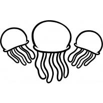 raskraska-meduza1