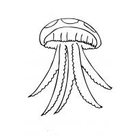 raskraska-meduza12