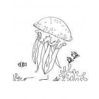 raskraska-meduza28
