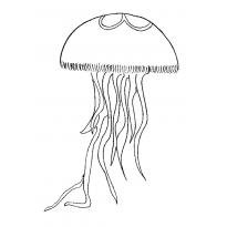 raskraska-meduza36