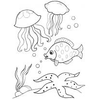 raskraska-meduza4