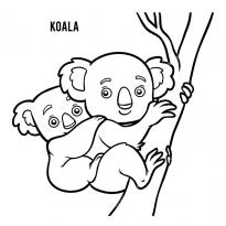 raskraska-koala31