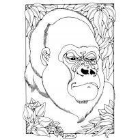 raskraska-gorilla10