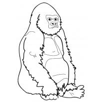 raskraska-gorilla44