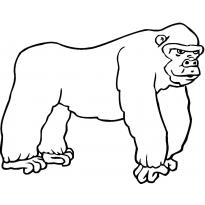 raskraska-gorilla5
