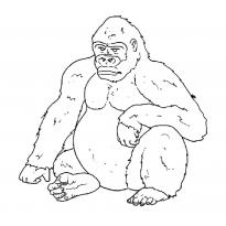 raskraska-gorilla57
