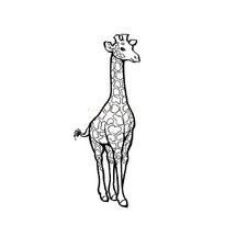 raskraska-giraf13