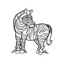 raskraska-zebra-8