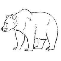 raskraska-medved-16