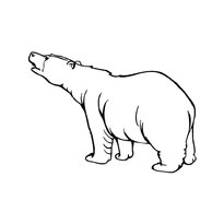 raskraska-medved-36