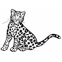 raskraska-leopard-17