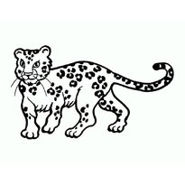raskraska-leopard-2