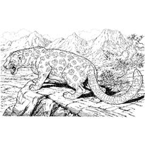 raskraska-leopard-29