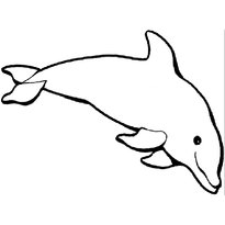 raskraska-delfin-35