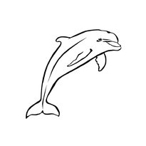 raskraska-delfin-40
