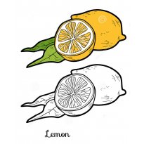 raskraska-limon27