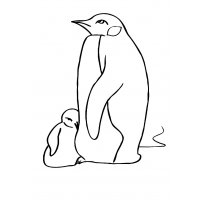 raskraska-pingvin12