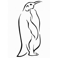raskraska-pingvin17