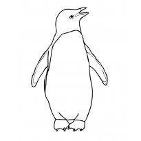 raskraska-pingvin22