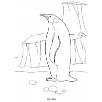 raskraska-pingvin4
