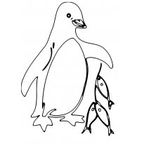 raskraska-pingvin47