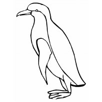raskraska-pingvin58