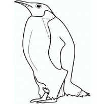 raskraska-pingvin60