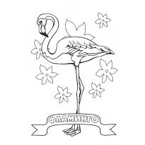 raskraska-flamingo1