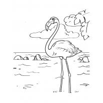 raskraska-flamingo19