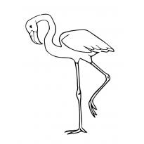 raskraska-flamingo27