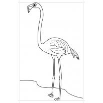 raskraska-flamingo29