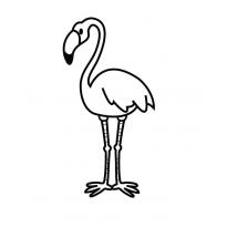 raskraska-flamingo31