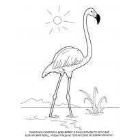 raskraska-flamingo5