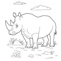 raskraska-nosorog4