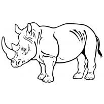 raskraska-nosorog49