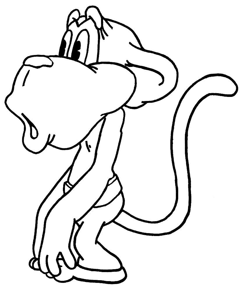 Крошка енот раскраска обезьяна