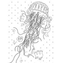 raskraska-meduza10
