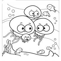 raskraska-meduza17