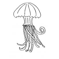 raskraska-meduza2