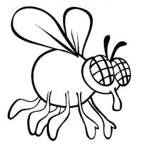 Рисунок мухи для детей
