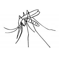 raskraska-komar36