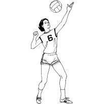 raskraska-voleibol29