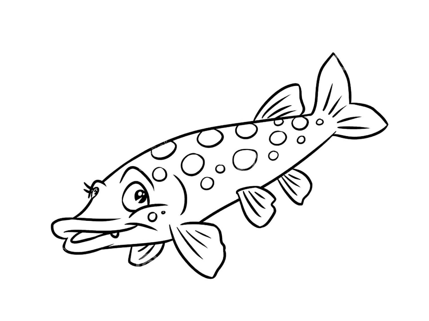Раскраска рыба щука