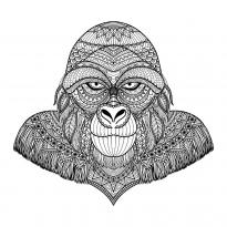 raskraska-gorilla27