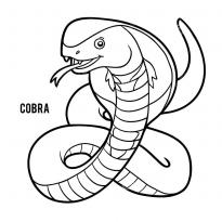 raskraska-kobra53