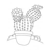 raskraska-kaktus-v-gorshke1