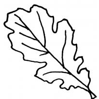 leaf-stencils11