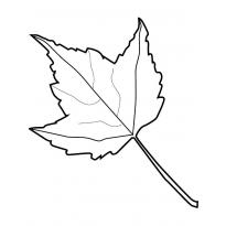 leaf-stencils19