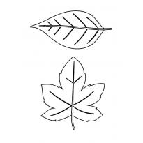 leaf-stencils36