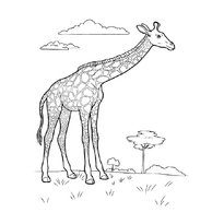 raskraska-giraf9